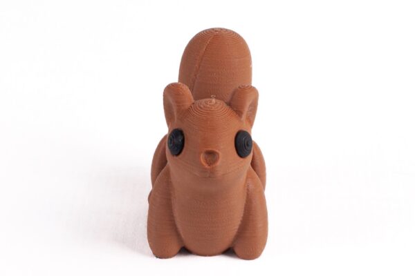 Ardilla - Imagen 2