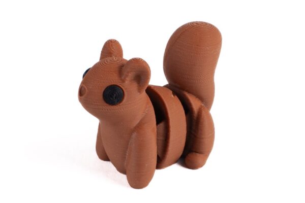Ardilla - Imagen 3