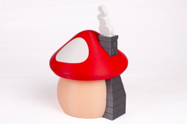 Seta - Imagen 2