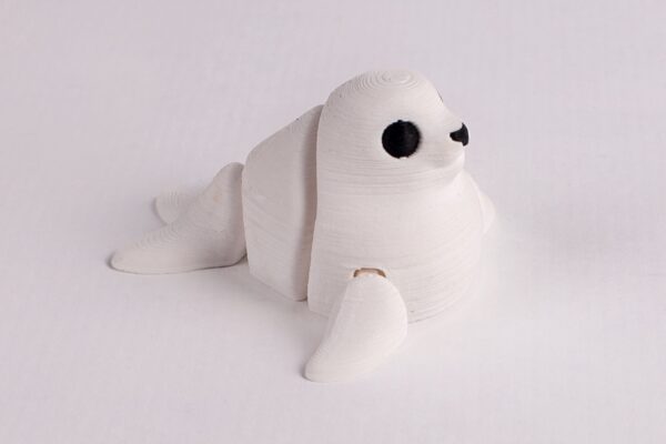 Foca - Imagen 2