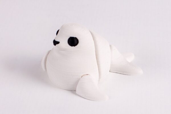 Foca - Imagen 3