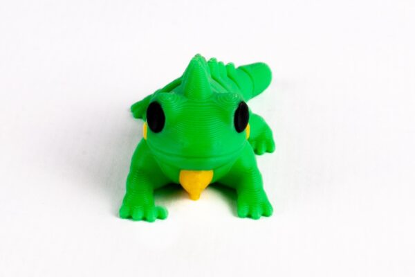 Iguana - Imagen 2