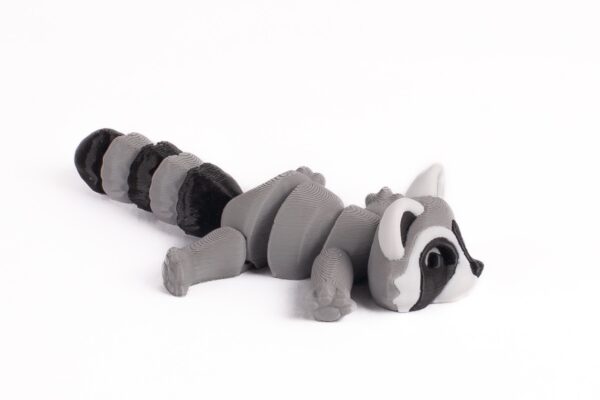 Mapache - Imagen 2