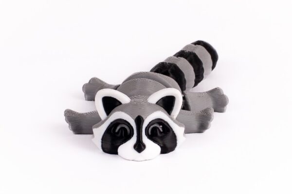 Mapache