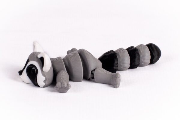 Mapache - Imagen 3
