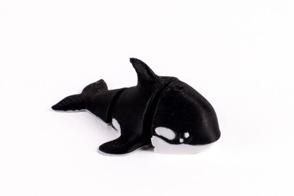 Orca