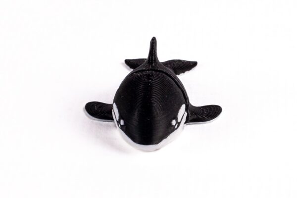 Orca - Imagen 2