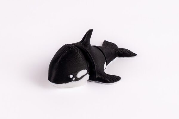 Orca - Imagen 3