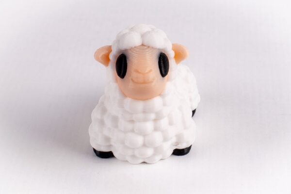 Oveja - Imagen 2