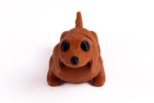 Perro salchicha - Imagen 2