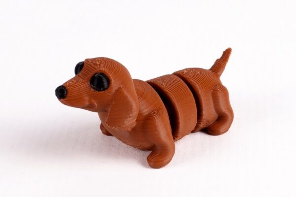 Perro salchicha - Imagen 3
