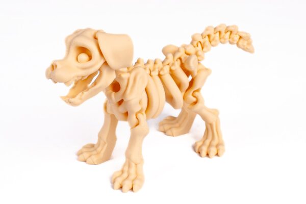 Perro