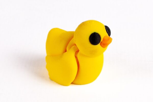 Pollito
