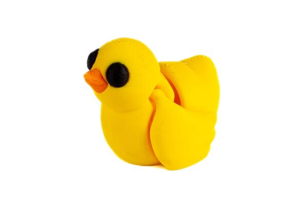 Pollito - Imagen 3
