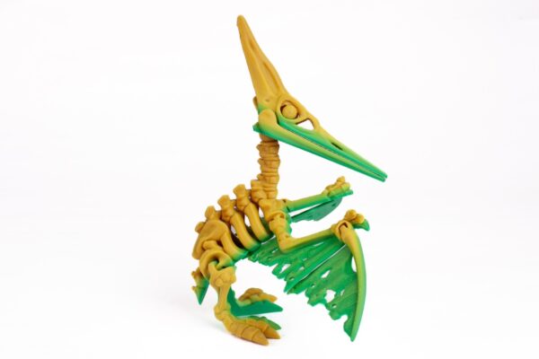 Pterosaurus