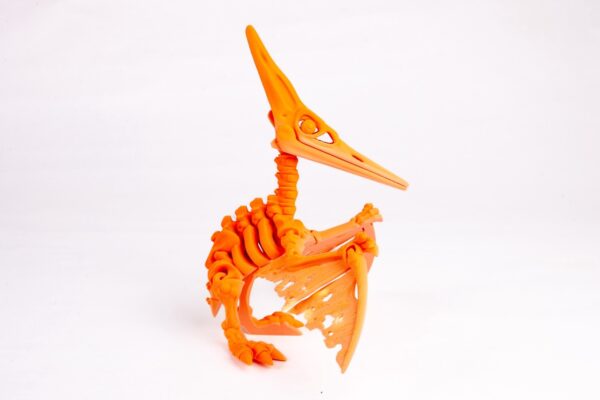 Pterosaurus - Imagen 3