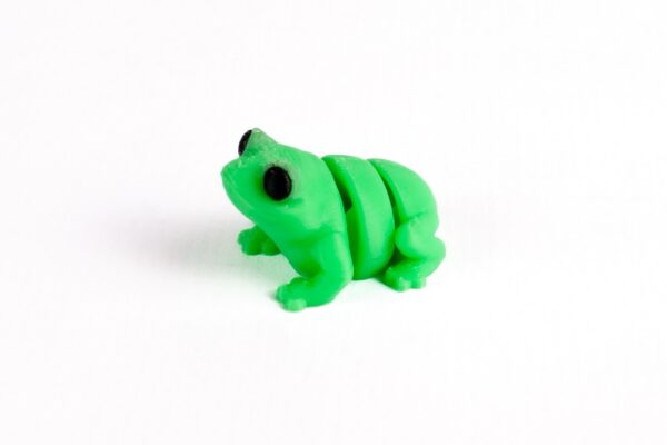 Rana - Imagen 3