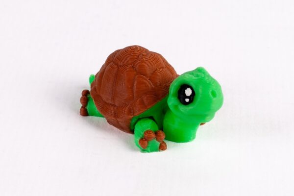 Tortuga