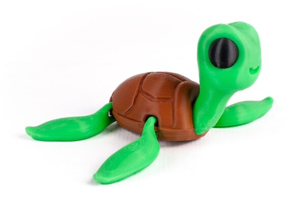 Tortuga - Imagen 3