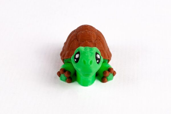Tortuga - Imagen 2