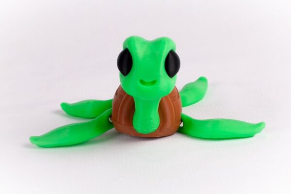 Tortuga