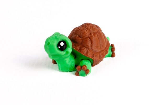 Tortuga - Imagen 3
