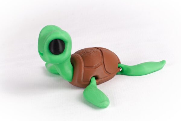 Tortuga - Imagen 2